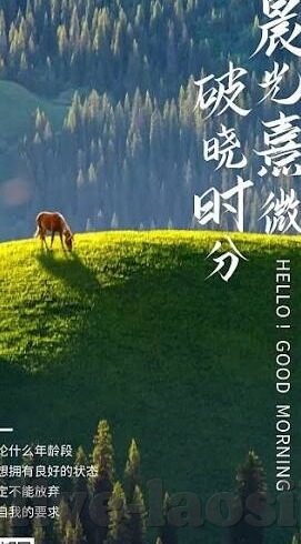 果冻传媒麻豆精东艺人-探索果冻传媒与麻豆精东艺人的跨界魅力